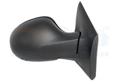 Exterior Mirror (4371818)