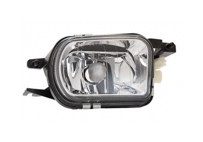 Front Fog Light (3033998)