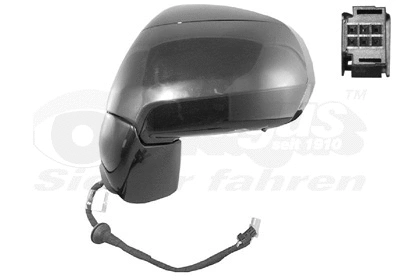 Exterior Mirror (0928805)
