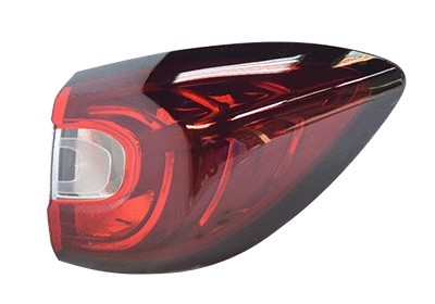 Tail Light Assembly (4384922)