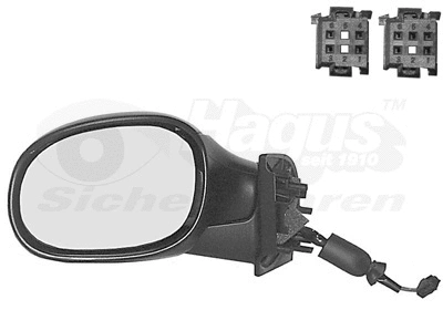 Exterior Mirror (0927819)