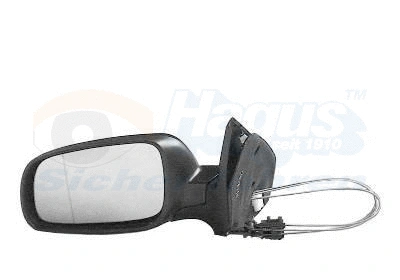Exterior Mirror (5888803)