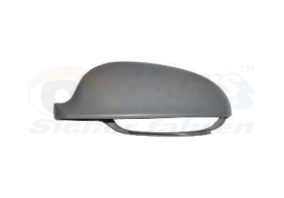 Cover, exterior mirror (5894843)