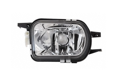 Front Fog Light (3032998)