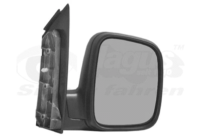 Exterior Mirror (5867804)