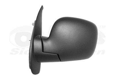 Exterior Mirror (4312801)