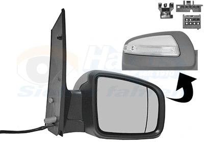 Exterior Mirror (3081826)