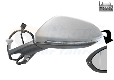 Exterior Mirror (5766815)