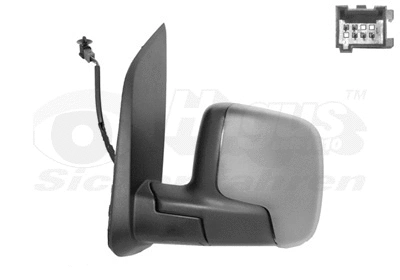 Exterior Mirror (1748817)