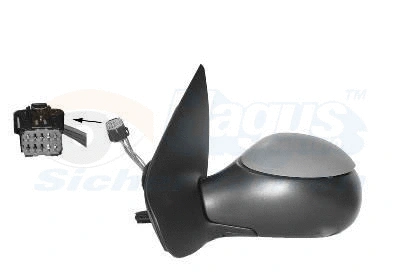 Exterior Mirror (4028828)