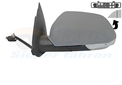 Exterior Mirror (7622817)
