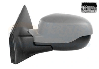 Exterior Mirror (4333817)