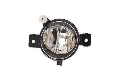 Front Fog Light (0689997)