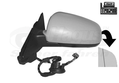 Exterior Mirror (0333819)