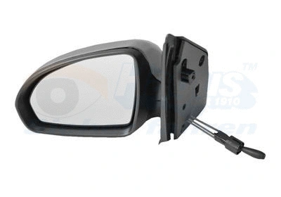 Exterior Mirror (2911813)