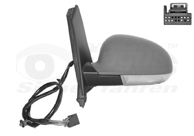 Exterior Mirror (5895807)