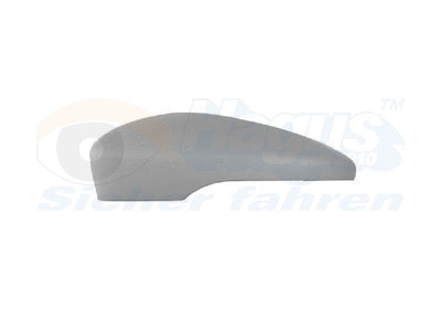 Cover, exterior mirror (5849843)