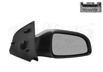 Exterior Mirror (3746818)