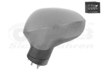 Exterior Mirror (4919817)