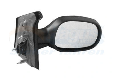 Exterior Mirror (4324808)