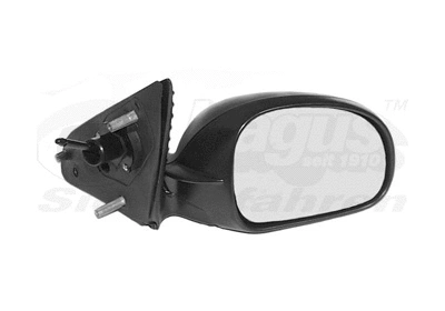 Exterior Mirror (4047804)