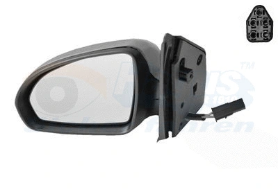 Exterior Mirror (2911817)