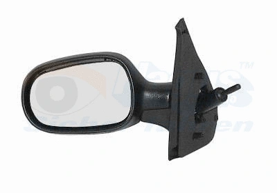 Exterior Mirror (4341803)