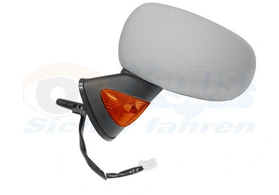 Exterior Mirror (4366817)