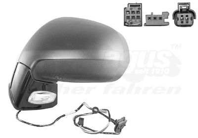 Exterior Mirror (0972807)