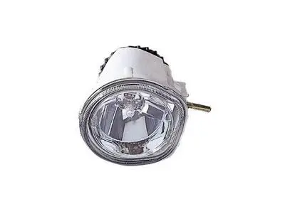 Front Fog Light (1709999)