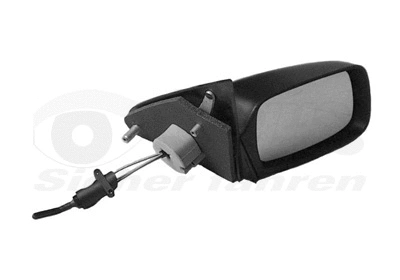 Exterior Mirror (1825804)