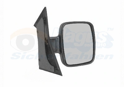 Exterior Mirror (3078802)