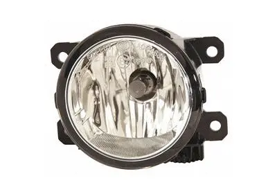 Front Fog Light (1619999)
