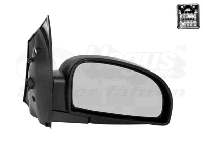 Exterior Mirror (8251808)