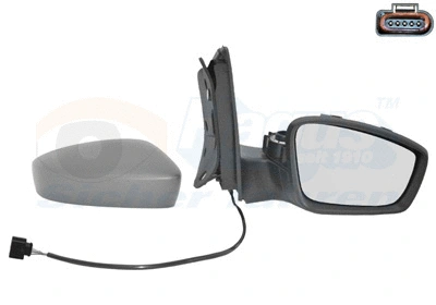 Exterior Mirror (5701808)