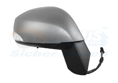 Exterior Mirror (4380818)