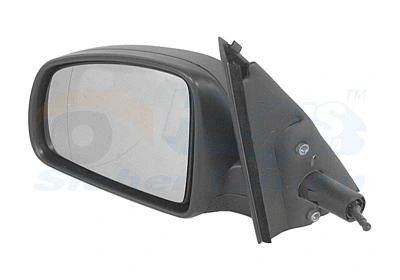 Exterior Mirror (3781813)