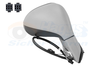 Exterior Mirror (4030808)
