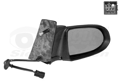 Exterior Mirror (3790808)