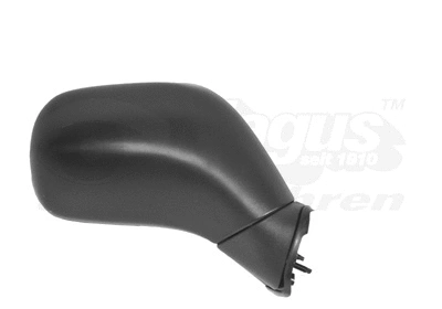 Exterior Mirror (3701802)