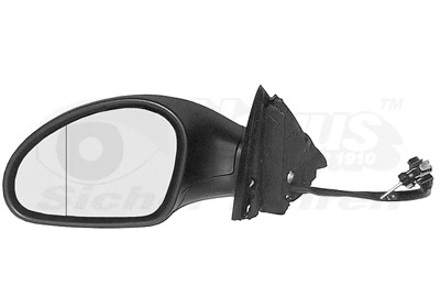 Exterior Mirror (4917813)