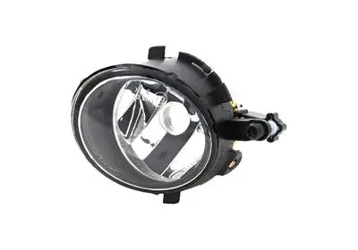 Front Fog Light (4919996)