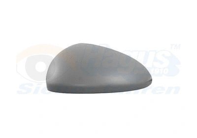Cover, exterior mirror (3860843)