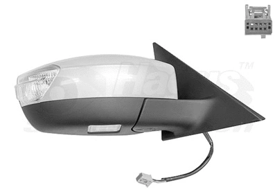 Exterior Mirror (1869818)