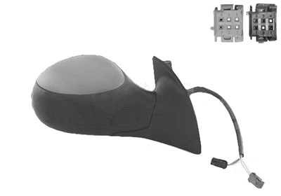 Exterior Mirror (4002818)