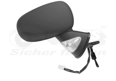 Exterior Mirror (4366824)