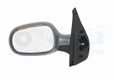 Exterior Mirror (4341818)