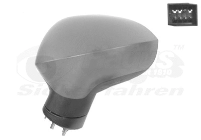 Exterior Mirror (4919807)