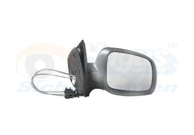 Exterior Mirror (5888814)