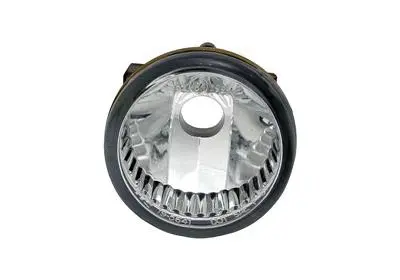 Front Fog Light (5466995)